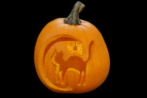 Carved Halloween Pumpkin Cat Design PNG image with transparent background