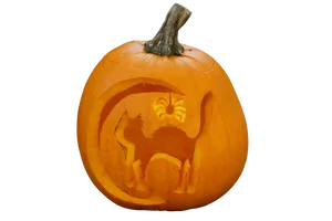 Carved Halloween Pumpkin Cat Design PNG Image