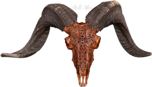 Carved Ram Skullwith Horns PNG Image