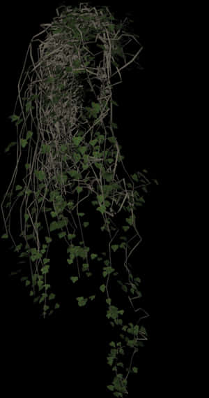 Cascading Green Vineson Black Background PNG