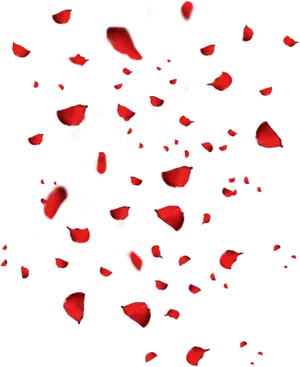 Cascading Red Rose Petals PNG Image