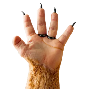 Cat Claws Image Png 42 PNG Image