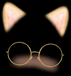 Cat Earsand Glasses Snapchat Filter PNG with transparent background