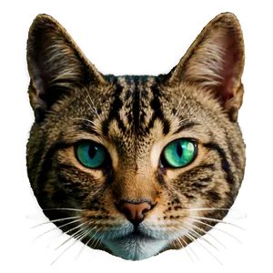 Cat Eyes Png Xli PNG Image