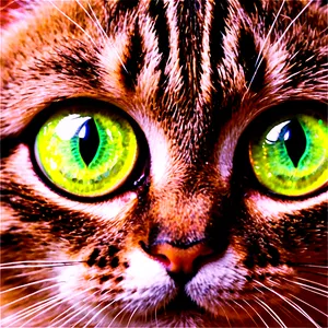 Cat Face Clipart Png Vkl PNG Image