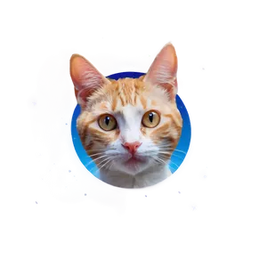 Cat Face In Space Png 06122024 PNG Image