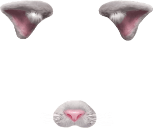 Cat Face Parts Transparent Background PNG image with transparent background