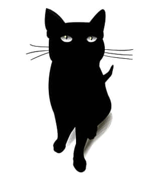 Cat PNG PNG Images
