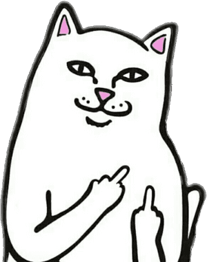 #cat #png #fu #freetoedit - Fuck You Cat Meme, Transparent Png PNG image with transparent background