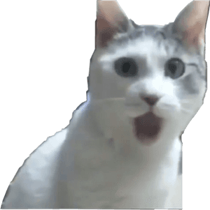 #cat #reaction #meme #surprising #vines #doitforthevine - Jaw Dropping Cat, HD Png Download PNG image with transparent background