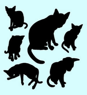 Cat Silhouettes Collection PNG with transparent background