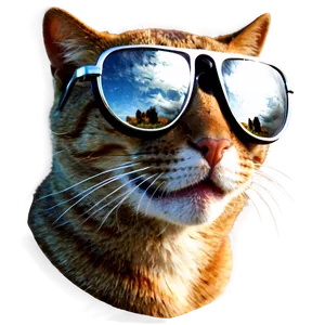 Cat With Sunglasses Png Cla PNG Image