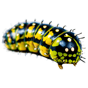 Caterpillar Close-Up PNG 78 PNG image with transparent background