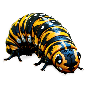 Caterpillar Close-Up PNG sfn53 PNG image with transparent background