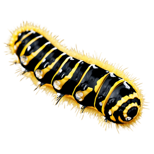 Caterpillar Close-Up PNG sic PNG image with transparent background