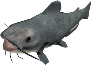 Catfish Side View PNG Image