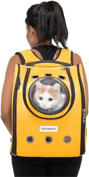 Catexplorer 1 May 19 0619 1200px - Backpack, HD Png Download PNG image with transparent background