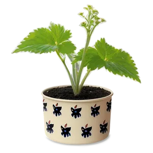 Catnip Growing Kit Png 06242024 PNG Image