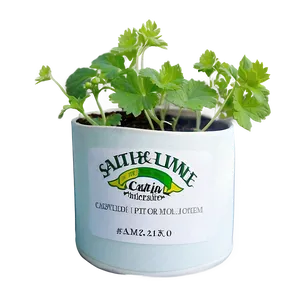 Catnip Growing Kit Png Gwg22 PNG Image