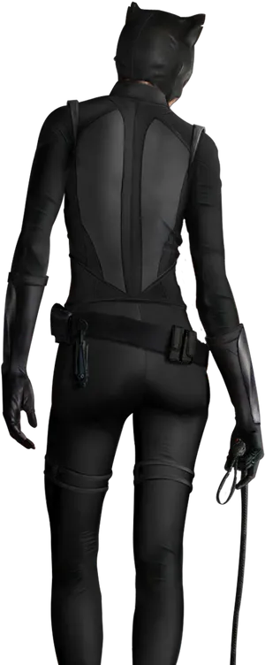 Catwoman_ Back_ View_in_ Costume PNG Image