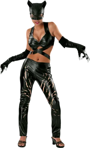 Catwoman Costume Pose PNG Image