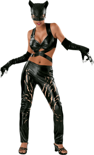 Catwoman Costumes, HD Png Download PNG image with transparent background