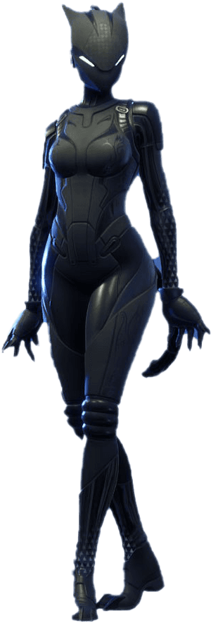 Catwoman Fortnite Free Png Image - Mask, Transparent Png PNG image with transparent background