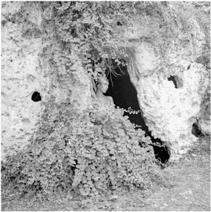 Prova7 - Pit Cave, HD Png Download PNG