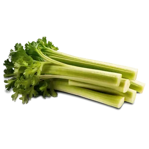 Celery Bundle Png 06252024 PNG Image