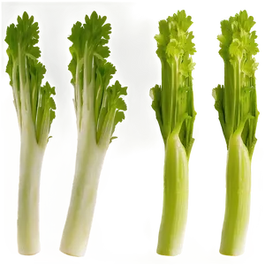 Celery Farm Fresh Png Ssc80 PNG Image