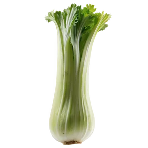 Celery For Detox Png 92 PNG Image