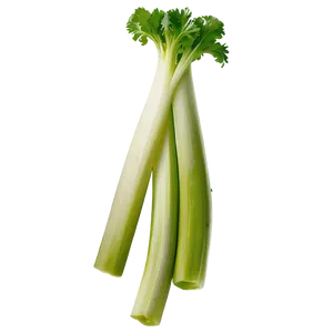 Celery For Salad Png Ugq PNG Image