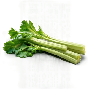 Celery Leaves Png 6 PNG Image