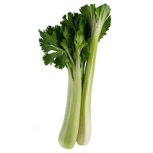 Celery On White Background Png 43 PNG Image