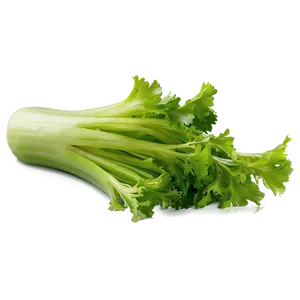 Celery Piece Png Dyb75 PNG Image