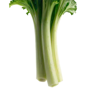 Celery Stalk Png 64 PNG Image