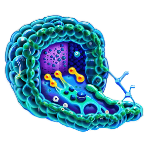 Cell Structure and Function PNG rnj PNG image with transparent background