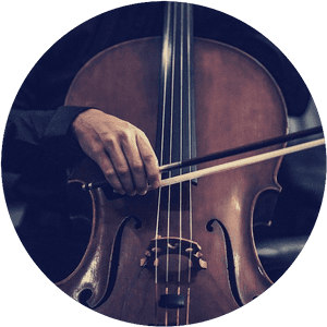 Violin Cello Photography , Png Download - Cello, Transparent Png PNG