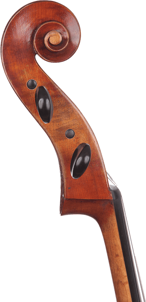 Cello , Png Download - Viola, Transparent Png PNG