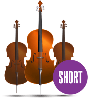 Orchestral Cello Short - Baroque Vs Modern Cello, HD Png Download PNG