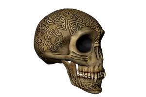 Celtic Engraved Skull Artwork PNG Image