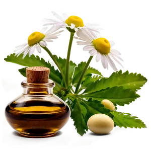 Chamomile Essential Oil Png Tiq39 PNG Image