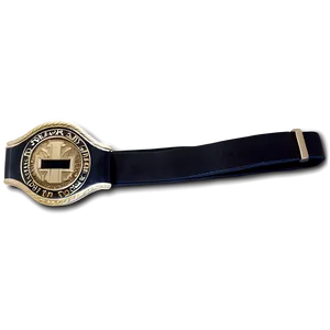 Champion Black Belt Png 86 PNG Image