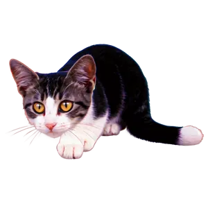 Charming Kitty Art Png 06242024 PNG Image