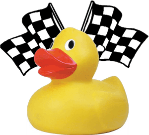 Adopt A Duck For The Family Center » Ducks - Checkered Flag Black And White PNG image with transparent background