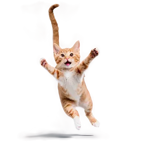 Cheerful Cat Jump Png 06242024 PNG Image