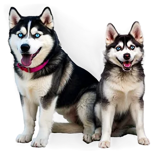 Cheerful Siberian Husky Png 44 PNG Image