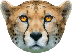 Cheetah Head Png, Transparent Png PNG image with transparent background