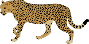 Cheetah Images Clipart Clipart - Cheetahs Clip Art, HD Png Download PNG image with transparent background