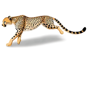 Cheetah Tail Png Hil64 PNG Image